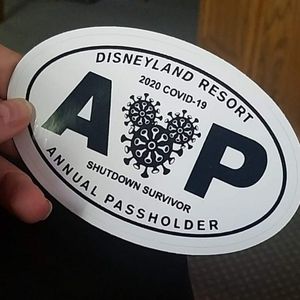 Disney AP Stickers